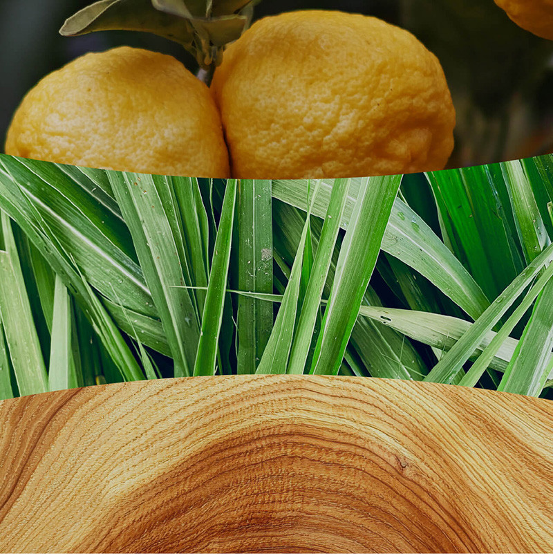 WoodWick® Yuzu & Vetiver citrusos és zöld-fás illathangulat