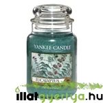 Kép 1/2 - Eucalyptus nagy üveggyertya