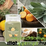Kép 2/3 - Sage & Citrus Signature nagy üveggyertya 567 g