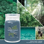 Kép 2/4 - Yankee Candle® Bayside Cedar Signature nagy üveggyertya 567 g