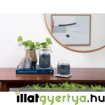 Kép 4/4 - Bayside Cedar Signature közepes üveggyertya 368 g