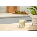 Kép 4/4 - Yankee Candle® Iced Berry Lemonade Signature közepes üveggyertya 368 g