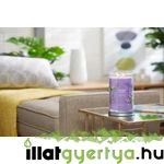 Kép 4/4 - Lilac Blossoms Signature nagy poharas gyertya 567 g