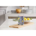 Kép 4/5 - Yankee Candle® Black Tea & Lemon Signature nagy poharas gyertya 567 g