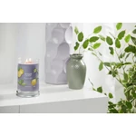 Kép 5/5 - Yankee Candle® Black Tea & Lemon Signature nagy poharas gyertya 567 g