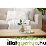 Kép 7/8 - Clean Cotton Signature nagy üveggyertya 567 g