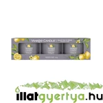 Kép 1/3 - Yankee Candle® Black Tea & Lemon üveges mintagyertya szett