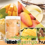 Kép 3/7 - Mango Ice Cream Signature nagy poharas gyertya 567 g