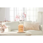 Kép 4/5 - Yankee Candle® Mango Ice Cream Signature nagy üveggyertya 567 g
