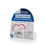 Kép 1/2 - Yankee Candle® Snow In Love mini viasz