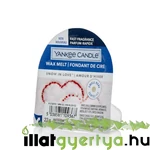 Kép 1/2 - Yankee Candle® Snow In Love mini viasz