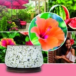 Kép 3/10 - Ocean Hibiscus Outdoor közepes gyertya 283 g