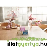 Kép 3/3 - Wild Orchid üveges mintagyertya 37 g
