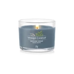 Kép 2/2 - Yankee Candle® Bayside Cedar üveges mintagyertya 37 g