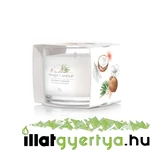 Kép 1/2 - Yankee Candle® Coconut Beach üveges mintagyertya
