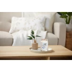 Kép 4/6 - Yankee Candle® Soft Blanket Signature nagy üveggyertya 567 g
