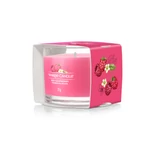 Kép 1/3 - Yankee Candle® Red Raspberry üveges mintagyertya