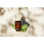 Kép 4/8 - WoodWick® Tomato Leaf & Basil ReNew nagy üveggyertya 368 g