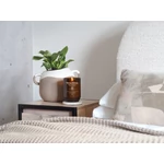 Kép 5/8 - WoodWick® Tomato Leaf & Basil ReNew nagy üveggyertya 368 g