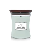 Kép 1/5 - WoodWick® Sagewood &amp; Seagrass közepes üveggyertya