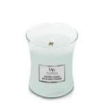 Kép 2/5 - WoodWick® Sagewood & Seagrass közepes üveggyertya 275 g