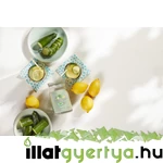 Kép 3/3 - Cucumber Mint Cooler Signature nagy üveggyertya 567 g