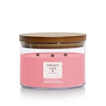 Kép 1/2 - Nature's Wick® Sea Salt Watermelon nagy üveggyertya