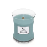 Kép 2/4 - WoodWick® Evergreen Cashmere közepes üveggyertya 275 g