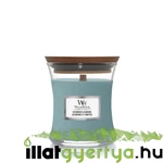 Kép 1/3 - WoodWick® Evergreen Cashmere kis üveggyertya