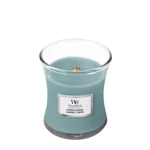 Kép 2/3 - WoodWick® Evergreen Cashmere kis üveggyertya 85 g