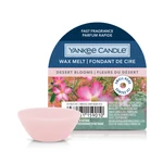 Kép 1/2 - Yankee Candle® Desert Blooms mini viasz