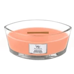Kép 2/8 - WoodWick® Manuka Nectar hajógyertya 453 g