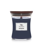 Kép 1/3 - WoodWick® Antiquarium közepes üveggyertya