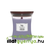 Kép 1/3 - WoodWick® Hypnoflora közepes üveggyertya