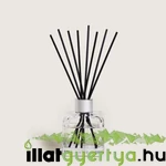 Kép 2/4 - Agaves Garden 125 ml diffúzor