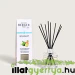 Kép 1/4 - Maison Berger Paris Radiant Bergamot 125 ml diffúzor