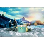 Kép 4/5 - Yankee Candle® Holiday Winterfest Signature kis poharas gyertya 122 g