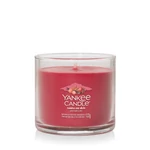Kép 2/5 - Yankee Candle® Santa on Skis Signature kis poharas gyertya 122 g