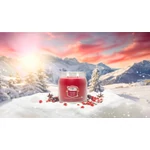 Kép 4/5 - Yankee Candle® Santa on Skis Signature közepes üveggyertya 368 g