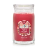 Kép 1/5 - Yankee Candle® Santa on Skis Signature nagy üveggyertya 567 g
