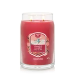 Kép 3/5 - Yankee Candle® Santa on Skis Signature nagy üveggyertya 567 g