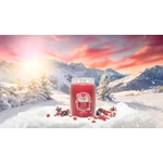 Kép 4/5 - Yankee Candle® Santa on Skis Signature nagy üveggyertya 567 g