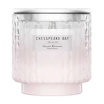 Kép 1/6 - Chesapeake Bay Candle Ocean Blossom nagy üveggyertya 312 g