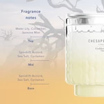 Kép 4/6 - Chesapeake Bay Candle® Golden Waves nagy 3-kanócos üveggyertya 411 g