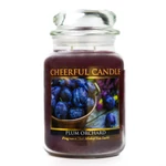 Kép 1/3 - Cheerful Candle® Cheerful Candle® Plum Orchard nagy üveggyertya 680 g