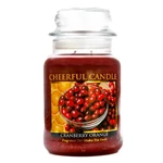 Kép 1/3 - Cheerful Candle® Cranberry Orange nagy üveggyertya 680 g