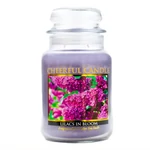 Kép 1/3 - Cheerful Candle® Cheerful Candle® Lilacs in Bloom nagy üveggyertya 680 g