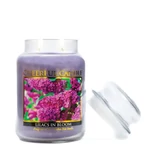 Kép 2/3 - Cheerful Candle® Lilacs in Bloom nagy üveggyertya 680 g