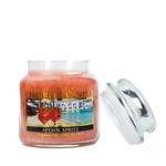 Kép 2/3 - Cheerful Candle® Aperol Spritz közepes üveggyertya 454 g