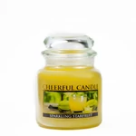 Kép 1/3 - Cheerful Candle® Sparkling Starfruit közepes üveggyertya 454 g